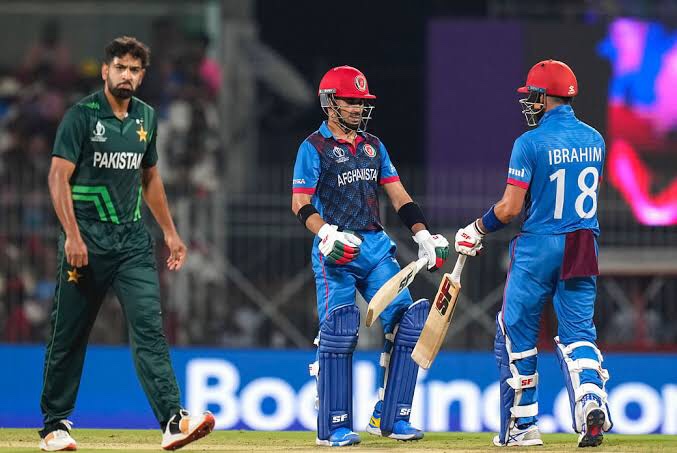 Waqar Younis Blasts Pakistan’s Lackluster Performance and Praises Afghanistan’s Triumph in World Cup Match
